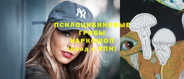 spice Аркадак